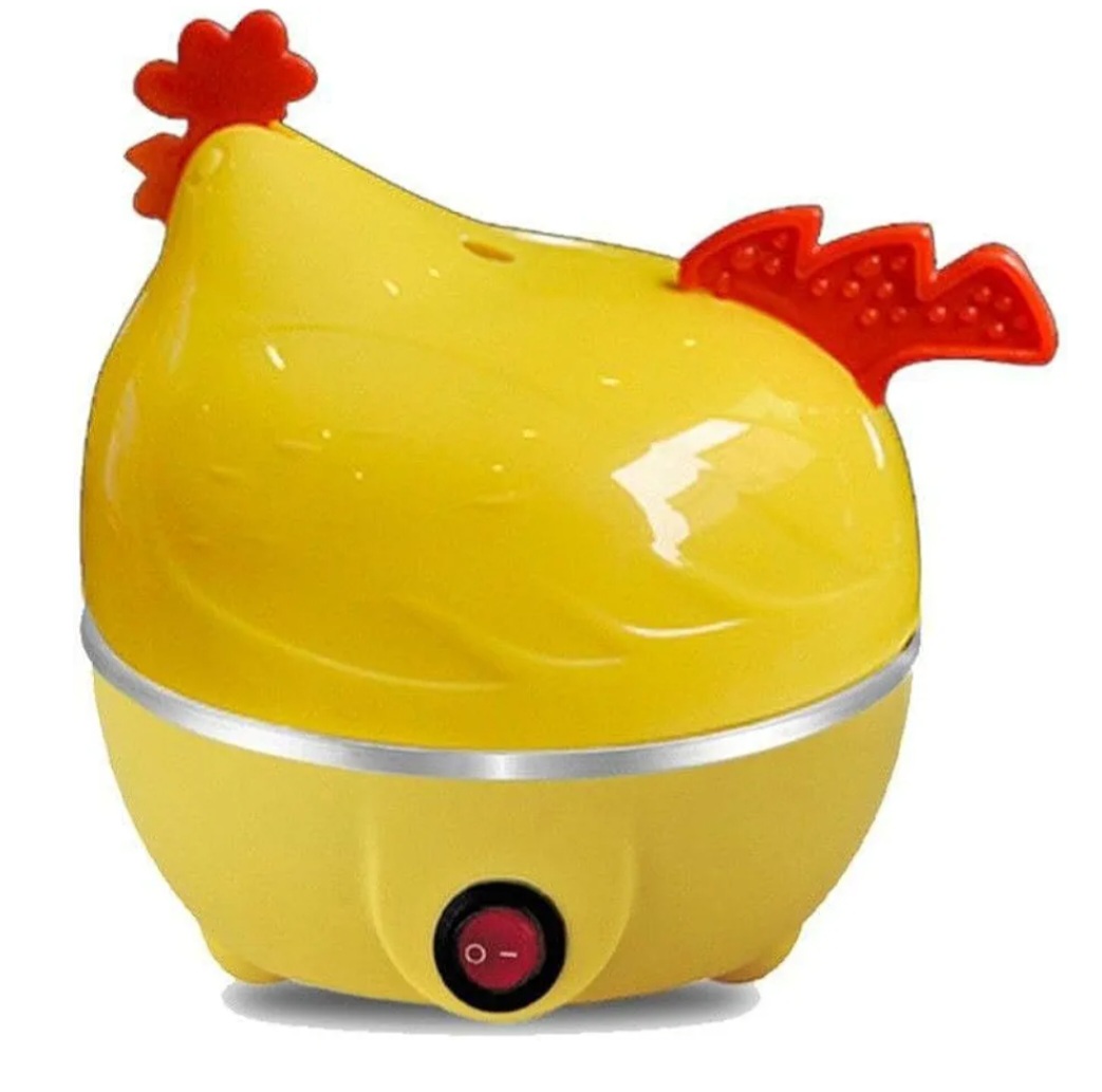 دجاجة سلق البيض